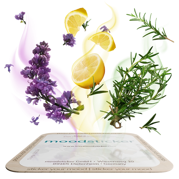 Endlich konzentriert lernen: Das +FOKUS Spar-Set: 2 Magnete + 10 Sticker, für 4-6 Monate