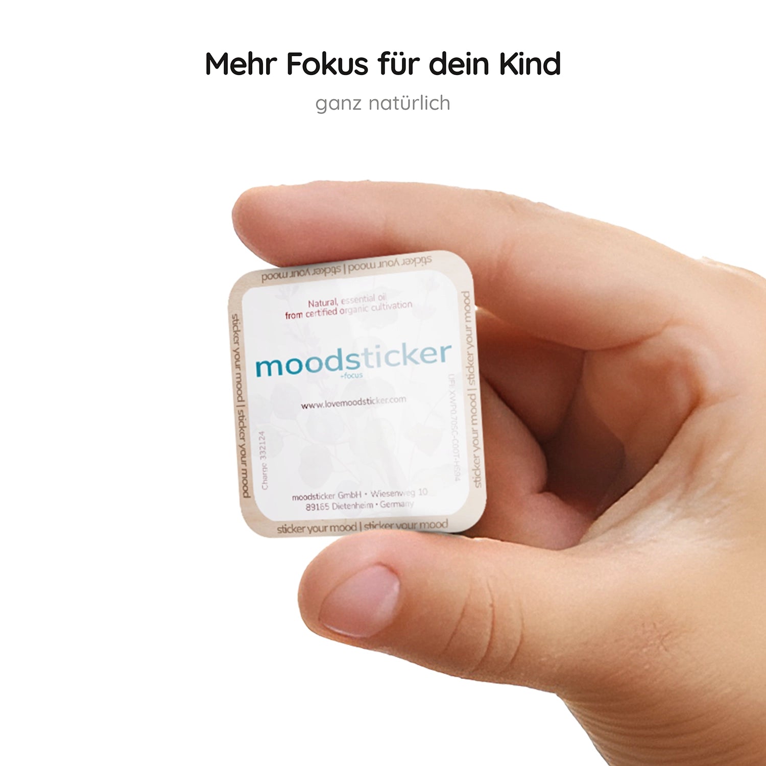 +focus family